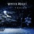 Artwork for TeslaX - Winter Night