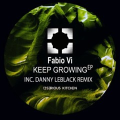 [SK166]Fabio Vi - Turn Me up(Danny Leblack Remix)