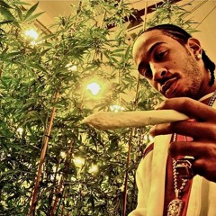 Ludacris - Blueberry Yum Yum [WVTERWVYSTEVE MIX]
