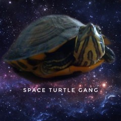 Gonzo Crispy Onion Rings