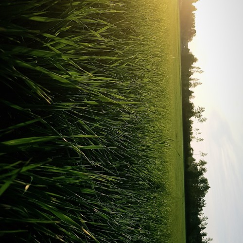 I Fall Apart  (Dash Berlin Remix)