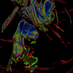 Acid🫠
