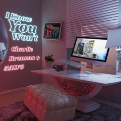 Daniel Allan & Charlie Brennan - I Know You Won't