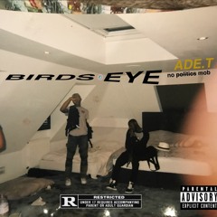 BIRDS - EYE