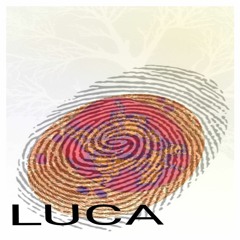 LUCA