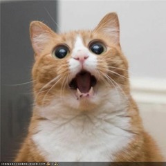 __Like a drugged cat__xx$hinoTripxx__PSY__Frenchcore__Set