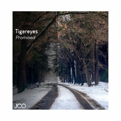 Tigereyes- Promised