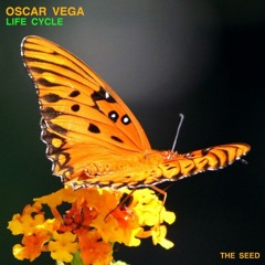 Butterfly  Oscar Vega - Josh Holiday Remix