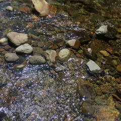 Lookout Creek (Eighth Notes) Excerpt