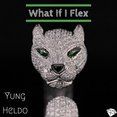 What If I Flex (Prod. LJ)