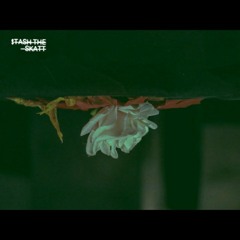 $tash the skatt - (prod. fresno)