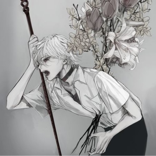 Ｊｐｎ  Ｂｌｏｏｍ ＤａｙＣｏｒｅ