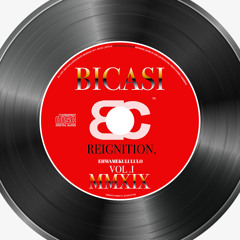 Picture Perfect Life (PPL)