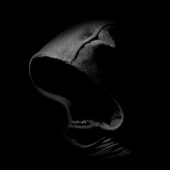 Faces (Snippet)