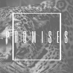 Promises