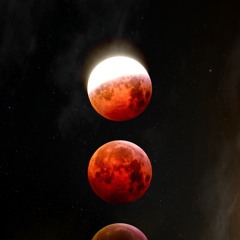 4 Moons