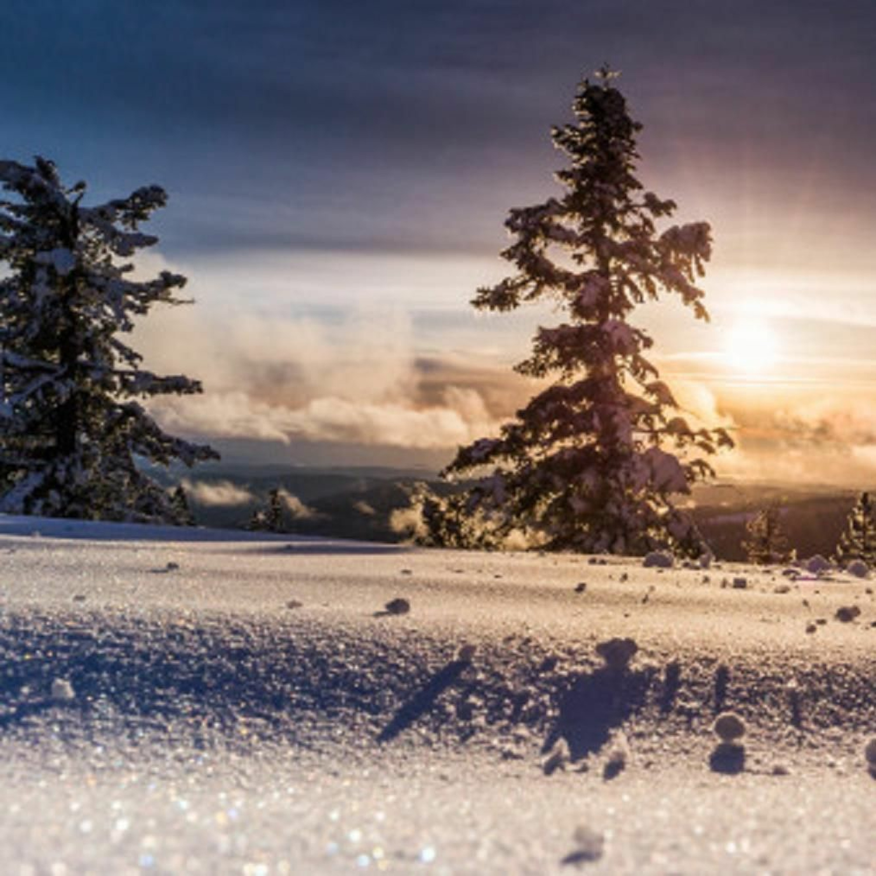 Majestic Winter Sunrise episode artwork