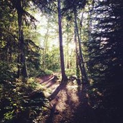 Cody Lockhart - Down