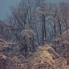 Soundtrack To A Timewarp (Not Mastered)