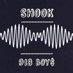 Shook (feat. Kevan Beeler, Intrinzyk, & Sillyvester)