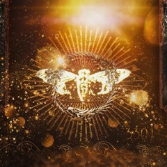 Cicada