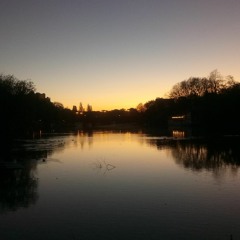 2019 - Meine Playlist