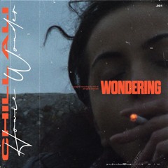 Howie Wonder, Chill Ali - The Force