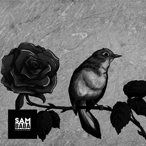Stream DarkDeepRiddim ( & zara ötme bülbül ) by Şambaba | Listen online for  free on SoundCloud