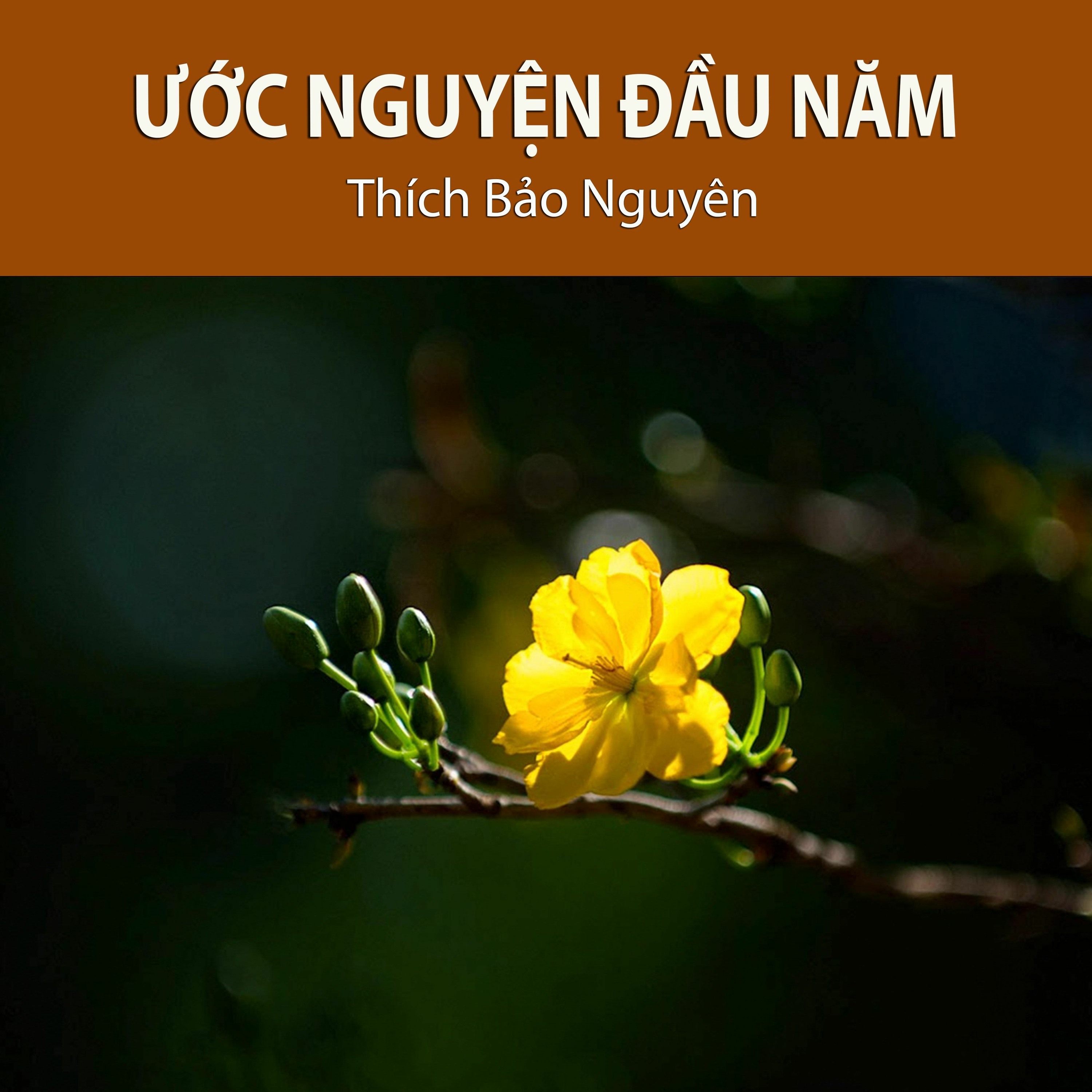 Ước Nguyện Đầu Năm episode artwork