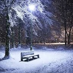 Partita for a Winter Night