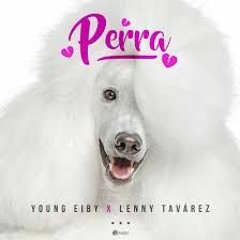 Perra Young Eiby ft. Lenny Tavárez  (Video Oficial)