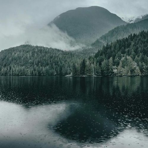 Puddles (w/ Jordy Chandra)