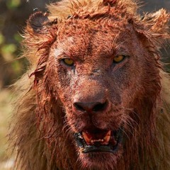 DaBaby Walker Texas Ranger (Remix)