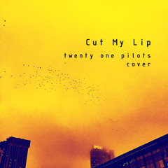 Cut My Lip (tweny one pilots cover)