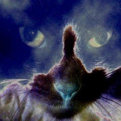 CatEfFecteD