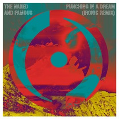 Naked and Famous - Punching in a Dream (Ironic Remix Ft. Chris Damato)