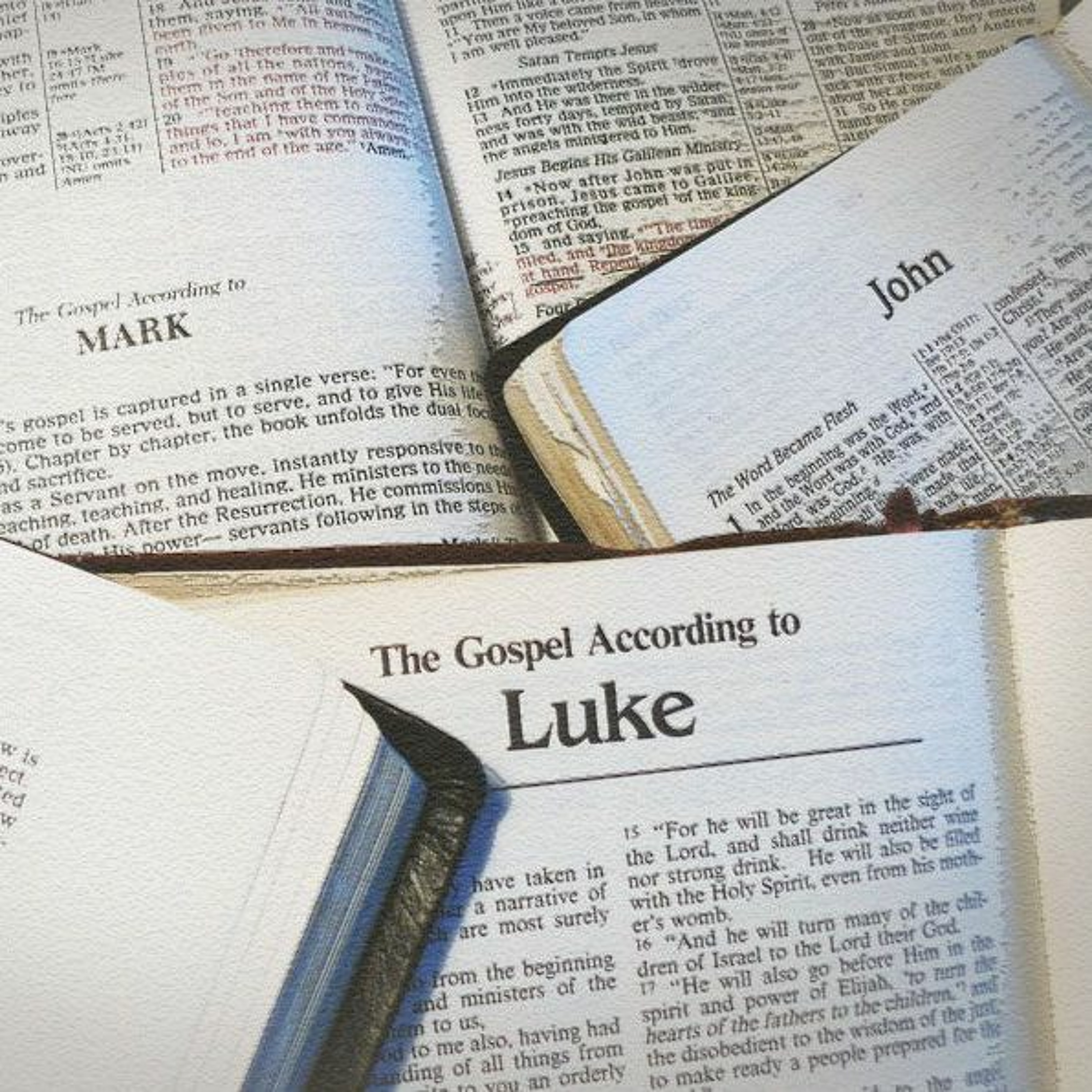 MERCYhouse University