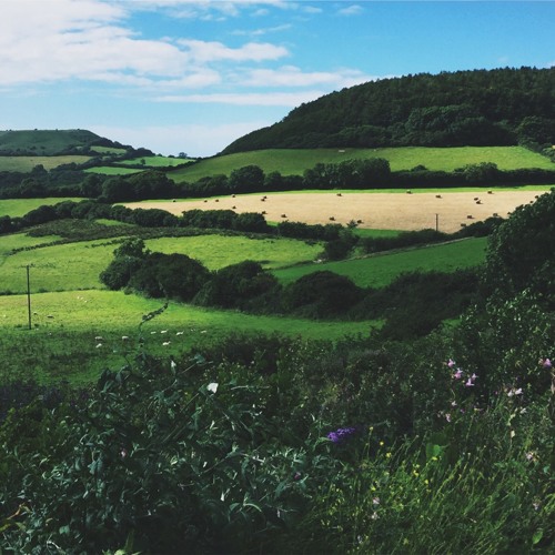 'The Western End' - Southern Points - [Hibernate, 2019]