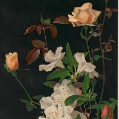 give yourself a try (the 1975)