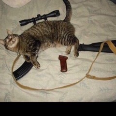 Young Ali - (Mystery Freestyle)