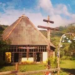 010 - Walter - Andorinha Voou