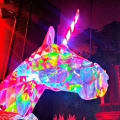 Unicorns 2019