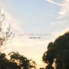 Ain't nothin but a bitch ft Sood (prod. Caden of California)