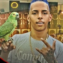 MC Rick - Acompanha O Paredão (DJ Carlinhos Da S.R e DJ TK)