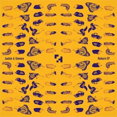 RGNM011 Jaskin&Uneven Reborn EP - Promo Mix - Dominic Ridgway (16/02/19)
