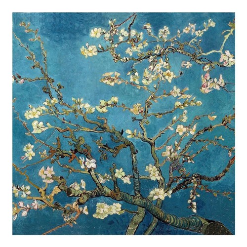 Scenes from a Memory | Part 1 - Almond Blossom