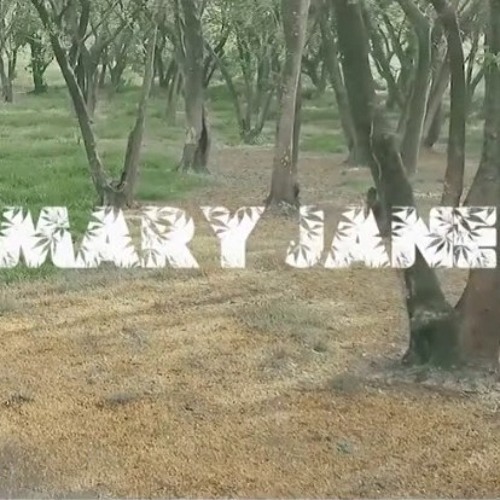 Mary_Jane [Remix]Jrexx Muziic X Souljah Boy DJ 2x19