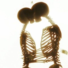 rotten bones