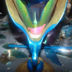 I'll Believe It When I Feel It