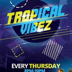 Tropical Vibez Promo Mix